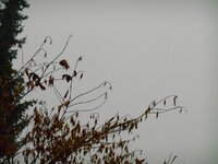 DSCN6647.JPG DSCN6647.JPG
