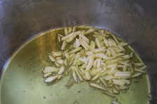 IMG_2283.JPG