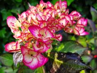 20190622_102829.jpg