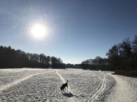 217411-dae1370211569bd4a22a7d65dde2022b.jpg