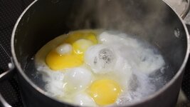 204999-2886bfed58b2db6c22e7b5dfd40a1c0e.jpg 204999-2886bfed58b2db6c22e7b5dfd40a1c0e.jpg
