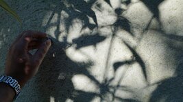 48cf4940411b158d85c98b719a6be356.jpg 48cf4940411b158d85c98b719a6be356.jpg