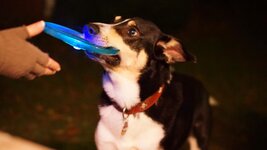 168822-bb8b5d4bed89a4634fe88dc61c189199.jpg 168822-bb8b5d4bed89a4634fe88dc61c189199.jpg