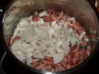 06_Zwiebeln_zum_Bacon.jpg 06_Zwiebeln_zum_Bacon.jpg