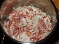 07_Zwiebeln_und_Bacon.jpg 07_Zwiebeln_und_Bacon.jpg