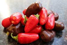 3-chilis-jpg.jpg
