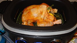 DSC00007.JPG DSC00007.JPG