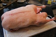 2-gans-jpg.jpg 2-gans-jpg.jpg