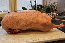 5-gans-grillbereit-jpg.jpg 5-gans-grillbereit-jpg.jpg