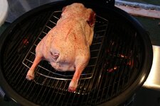 6-gans-auf-grill-jpg.jpg 6-gans-auf-grill-jpg.jpg