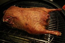 19-gans-nach-1-5-std-jpg.jpg 19-gans-nach-1-5-std-jpg.jpg