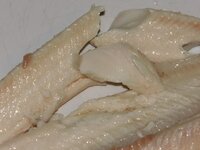 07_Anschnitt_Forelle.jpg 07_Anschnitt_Forelle.jpg
