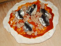 10_Thunfisch_und_Sardellen.jpg 10_Thunfisch_und_Sardellen.jpg