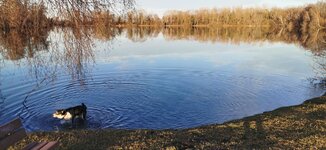 IMG_20191218_151358.jpg