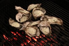 13-grill-jpg.jpg 13-grill-jpg.jpg