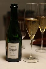 16-champagner-jpg.jpg 16-champagner-jpg.jpg