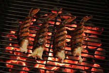 18-hummer-grill-jpg.jpg 18-hummer-grill-jpg.jpg