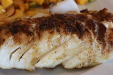 14-fisch-detail-jpg.jpg 14-fisch-detail-jpg.jpg
