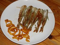 08_Portion_3.jpg 08_Portion_3.jpg