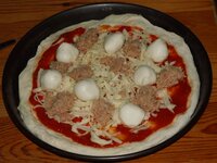 04_Thunfisch_und_Mozzarella.jpg 04_Thunfisch_und_Mozzarella.jpg