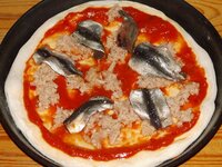 11_Tomatensauce_Thunfisch_und_Anchovis.jpg 11_Tomatensauce_Thunfisch_und_Anchovis.jpg