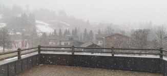 IMG_20200307_102006.jpg