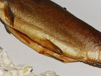 05_Detail.jpg 05_Detail.jpg