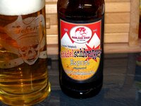 10.11.2016 Schädelschbrengger Glas.jpg