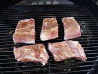 03_Ribs_in_der_Kugel.jpg 03_Ribs_in_der_Kugel.jpg