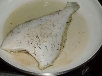 07_Scholle_2.jpg