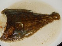 09_gewendet_2.jpg
