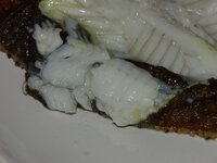 12_Anschnitt.jpg