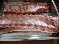 01_Ribs.jpg 01_Ribs.jpg