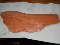 01_Lachsforellenfilet.jpg 01_Lachsforellenfilet.jpg