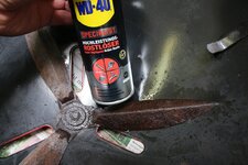 14-wd-40-auf-fluegel-jpg.jpg 14-wd-40-auf-fluegel-jpg.jpg