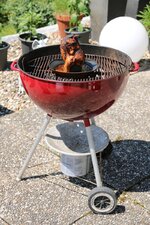 16-grill-mit-haehnchen-drauf-jpg.jpg 16-grill-mit-haehnchen-drauf-jpg.jpg