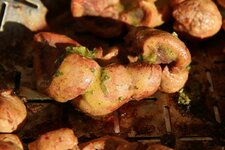 18-niere-detail-jpg.jpg 18-niere-detail-jpg.jpg