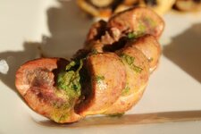 22-niere-detail-jpg.jpg 22-niere-detail-jpg.jpg