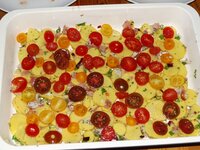 05_Tomaten_verteilt.jpg 05_Tomaten_verteilt.jpg