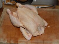 01_Bio-Huhn.jpg 01_Bio-Huhn.jpg