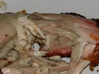 11_Anschnitt.jpg 11_Anschnitt.jpg