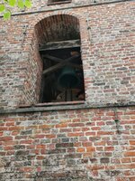 IMG_20200728_192423.jpg