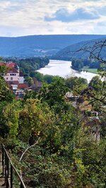 20200923_154521.jpg