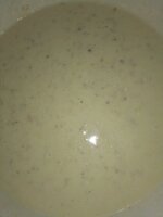 IMG_20201007_121503819.jpg