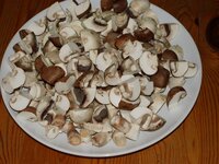 04_Pilze_geviertelt.jpg 04_Pilze_geviertelt.jpg
