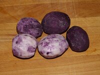 04_Kartoffeln_geschält.jpg 04_Kartoffeln_geschält.jpg