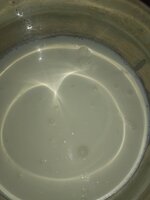 IMG_20201024_173722507.jpg IMG_20201024_173722507.jpg