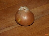 03_Zwiebel.jpg