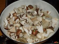 10_Pilze_anbraten.jpg