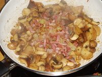 13_Speck_und_Zwiebel_zurück.jpg